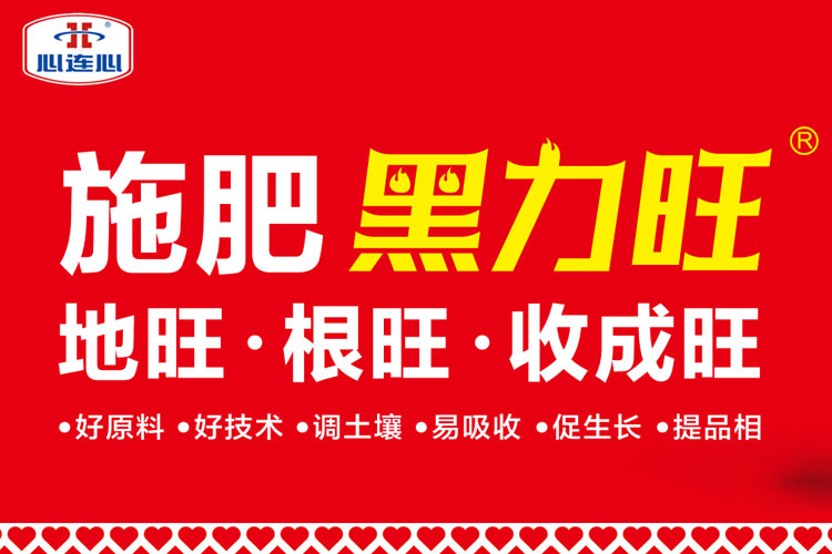 中国·9888拉斯维加斯(股份)有限公司-官方网站