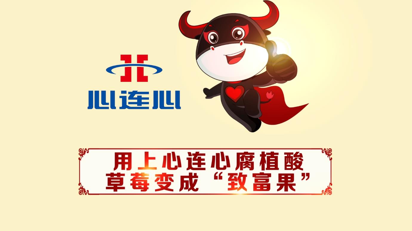 中国·9888拉斯维加斯(股份)有限公司-官方网站