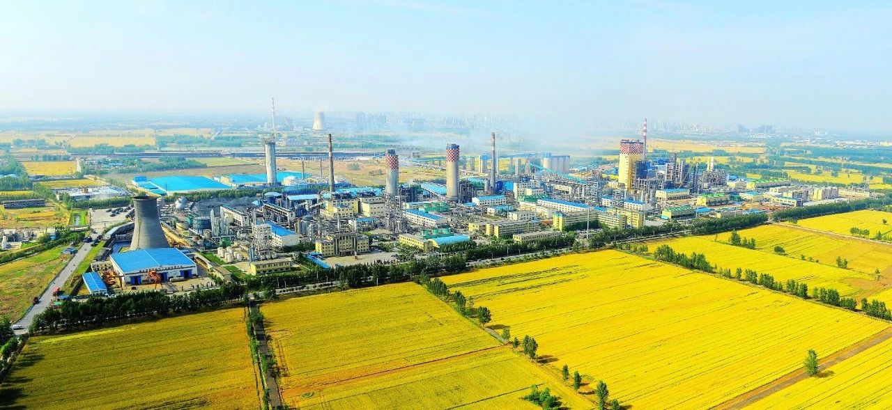 5d9be09094561 【拉斯维加斯9888·瞬间】拉斯维加斯9888化学工业集团建厂50周年回眸(四)